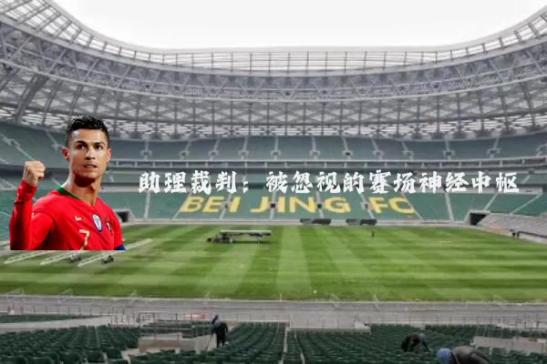 助理裁判:被忽视的赛场神经中枢